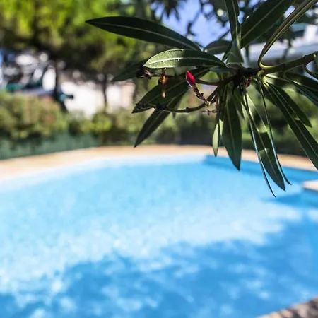 Apartmán Villegiales Tee2 - En Rez De Jardin Dans Avec Piscine Mae-1154 *