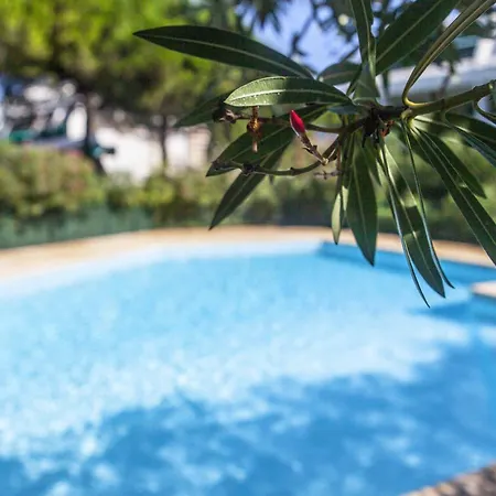 Villegiales Tee2 - En Rez De Jardin Dans Avec Piscine Mae-1154 La Grande-Motte