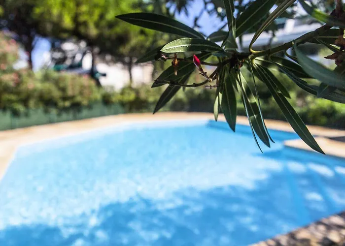 Villegiales Tee2 - En Rez De Jardin Dans Avec Piscine Mae-1154 * Λα Γκραντ-Μοτ